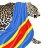 LE VRAI CONGOLAIS 🇨🇩 的头像