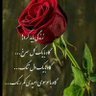 بهمن امیدوار's profile picture