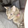 Geist-e4 profil fotoğrafı
