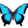 Muhammet Murat Gol's profile picture