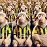macunmılıca profil fotoğrafı