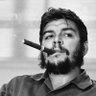 Emrullah Alkoç's profile picture