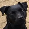 Marc B ⭐️⭐️'s profile picture
