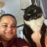 Mashael Elmasry's profile picture