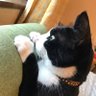 れいこ profil fotoğrafı