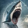 Profilbild von megalodon