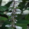Фото профиля TSClarkLLC