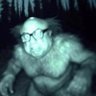 Mantis Toboggan profil fotoğrafı