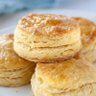 Biscuit profil fotoğrafı
