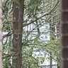 小东 的头像