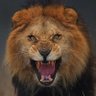 David Baker 🇦🇺's profile picture