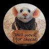 Il perculatore's profile picture