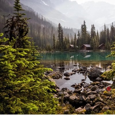MadeInCanada_eh's profile picture