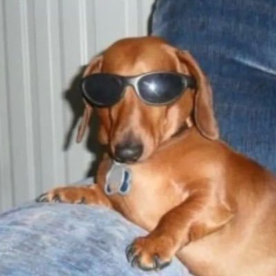 bodybenzkit's profile picture
