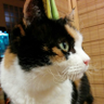 ヘビメタさん 的头像