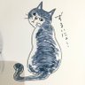 ぼくめし profil fotoğrafı