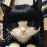 Profilbild von Oilee kun ❤️ Xally