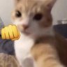 Bryan's profile picture