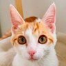 🥕's profile picture