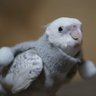 ひろし profil fotoğrafı