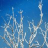 𐙚 ˚ ⋆｡˚ ᡣ𐭩 profil fotoğrafı