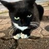 는 profil fotoğrafı