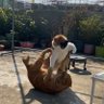 (:3_ヽ)_ profil fotoğrafı
