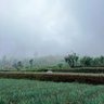 Upiak banun 的头像