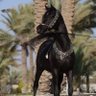 عمر العكيدي's profile picture