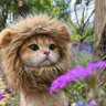 Эррол Хан's profile picture