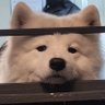 Profilbild von คปปป