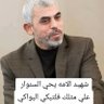 🇹🇳هادي بلعزي🇵🇸 的头像