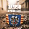 Daniel Soler's profile picture