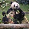 Wi 的头像