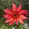 Amarcord_nl 🇳🇱's profile picture
