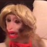 sahtebeslik's profile picture