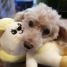 みやちゃん🍀's profile picture