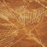 Фото профиля univerghost