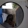 ayp profil fotoğrafı