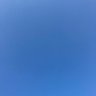 瀬田ろー's profile picture