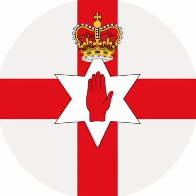 Ulster bear 🇬🇧's profile picture