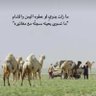 Фото профиля بتال الروقي 𓅓