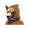 Profilbild von Toshi