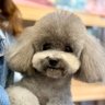 Ju_Jason's profile picture
