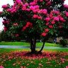 kmjifggvv profil fotoğrafı