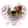まりもも໒꒱· ﾟ🖤生涯まこふぁむ🐤🖤 profil fotoğrafı