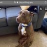 MC profil fotoğrafı