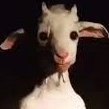 KaguraMVP's profile picture