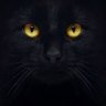 Adacam. profil fotoğrafı
