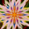 Profilbild von jυηiρ